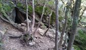 Randonnée Marche Plan-d'Aups-Sainte-Baume - Sources de l'Huveaune  - Photo 5