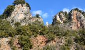 Tour Wandern Châteaudouble - Rebouillon - Chapelle St Jean - Châteaudouble - Photo 6