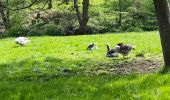 Randonnée Marche Écaussinnes - Ecaussinne un saut dans le temps - Photo 10