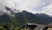 Tocht Stappen Chamonix-Mont-Blanc - Chamonix La Cascade du dard  - Photo 1