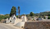 Randonnée Marche Cargèse - Visite découverte de Cargèse - Photo 1