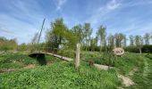 Tocht Stappen Tienen - S-GR Hageland : Tienen - Terhagen - Photo 19