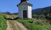 Trail On foot Rokytnice nad Jizerou - NS Krakonoš a lyžníci - Photo 3