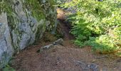 Tocht Stappen Fontainebleau - Sentier Denecourt 3 - Photo 11