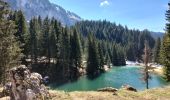 Trail Walking Vacheresse - Ubine, col d'Ubine, col des Mosses, chalets de Bise, lac de Fontaine - Photo 1
