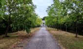 Randonnée Marche Enghien - Le Parc d'Enghien et ses jardins exceptionnels  - Photo 17
