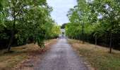Trail Walking Enghien - Le Parc d'Enghien et ses jardins exceptionnels  - Photo 17