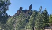 Percorso Marcia Tejeda - Roque Nublo (Gran Canaria) - Photo 17