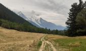 Excursión Senderismo Chamonix-Mont-Blanc -  Kes Tines Argentièrepar petit balcon sud et retour par le Lavancher  - Photo 4