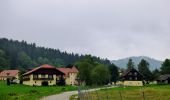 Tour Zu Fuß Liebenfels - Vierbergelauf - Photo 7