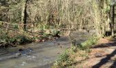 Tour Wandern Saint-Ouen-le-Brisoult - Les Gorges de Villiers - Photo 7