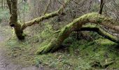 Tocht Stappen Jemeppe-sur-Sambre - menhir - Photo 5