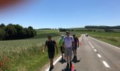 Tour Wandern La Roche-en-Ardenne - MÉSA 2019 la roche en Ardennes  - Photo 1
