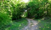 Randonnée Marche Trosly-Breuil - en forêt de Compiègne_28_les Tournantes sur le Mont Saint-Mard et sur le Mont Collet - Photo 11