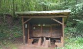Trail Walking Champagney - Canal souterrain de la Haute-Saône - Photo 11