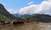 Trail Walking Manigod - Lac Charvin - Photo 4