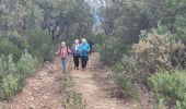 Trail Walking Le Muy - L'Escaillon et le tour de Guet - Photo 4