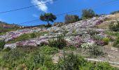 Excursión Bici de montaña La Môle - La Môle : Fait 05/04/23 de La Môle vers La Garde Freinet et Retour - Photo 1