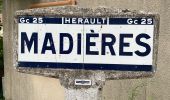 Trail Walking Rogues - Madières - Photo 4