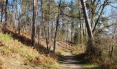 Trail Walking Auffargis - Yvelines_Vaux-de-Cernay_Ferme-des-Vallées_Abbaye_ND-des-Roses - Photo 8