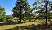 Tocht Stappen Jourgnac - puy de banneix  - Photo 18