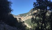 Trail Walking Sales de Llierca - Sadernes Sant Aniol  - Photo 5