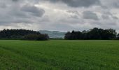 Tour Wandern Beauraing - Pondrome 121021 - Photo 3