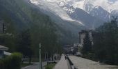 Tocht Stappen Chamonix-Mont-Blanc - les Tines à Chamonix le long de l'Arve - Photo 20