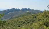 Excursión Senderismo Gigondas - Les Florets Lencieux Pas de l'Aigle - Photo 1