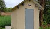 Tour Wandern Sommeval - Sommeval 10 kms - Photo 3