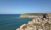 Tour Wandern Unknown - Sagres cap St VINCENT Carrapateria - Photo 20