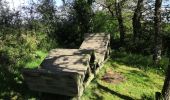 Trail Walking Lassy - canut - Photo 4