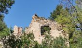 Tocht Stappen Évenos - Evenos - Vallon de la Capucine - Les Andrieux - Photo 4