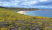 Trail Walking Erquy - cap erquy - Photo 5