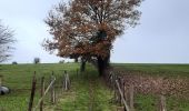 Percorso Marcia Sprimont - rando losange bleu 5 sprimont - Photo 2
