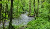 Trail Walking Gedinne - Vencimont 050624 - Photo 9