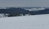 Tour Wandern Havelange - rando nettine 9/02/2021 - Photo 3