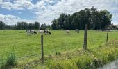 Tour Wandern Sint-Gillis-Waas - De Klinge 21,9 km - Photo 15