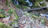 Tour Wandern Stoßweier - Saegmatt Cascade de Stolz Ablass Frankenthal - Photo 1