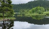 Tocht Stappen La Bresse - Tour du lac de Lispach + tête de Grouvelin  - Photo 1