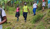 Trail Walking Le Lorrain - Mornes Capot / Lorrain Martinique - Photo 7