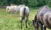 Trail Horseback riding Autigny-la-Tour - Anime ta campagne marche gourmande à Autigny la tour 25 aout 2024 - Photo 1