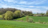 Tour Wandern Braine-le-Château - #230421 - Braine-le-Château > Bois d'Apecheau et d'Oisquerq, dont 4 km du GR 127 - Photo 8