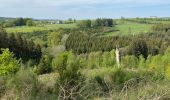 Trail Horseback riding Bastogne - Tripoux mai 2023 2 - Photo 10