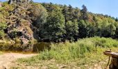 Tour Wandern Saint-Maurice-de-Lignon - boucle passerelle du lignon-11 km - Photo 3