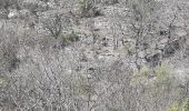 Trail Walking Rochebrune - les six cols depuis Rochebrune (26) - Photo 3