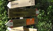Excursión A pie Schlanders - Silandro - IT-15 - Photo 10