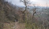 Trail Walking La Baume-d'Hostun - Belvédère des Monts du Matin - Photo 16