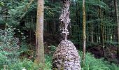 Trail Walking Girmont-Val-d'Ajol - herival - Photo 13