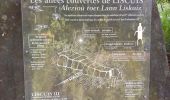 Percorso Marcia Bon Repos sur Blavet - Les Landes de Liscuis (Laniscat) - Photo 2